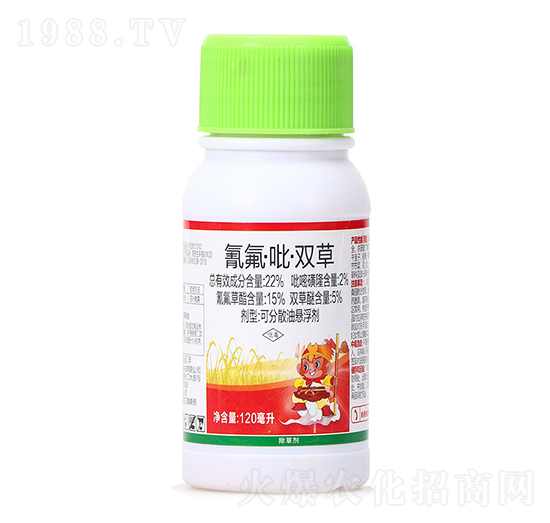 22%����������p��-��ǧ��-ϲ�S��