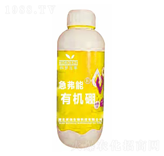 �ЙC(j��)��-������-����(chu��ng)����