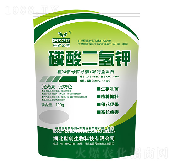 100g��������-���_����-����(chu��ng)����