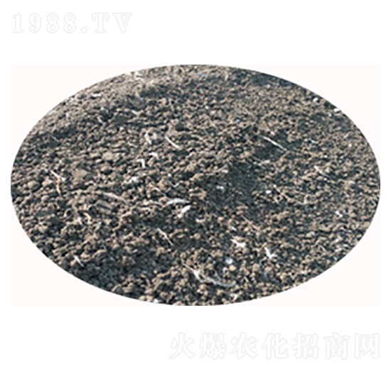 �u�S�ЙC�ʏS��-���S����