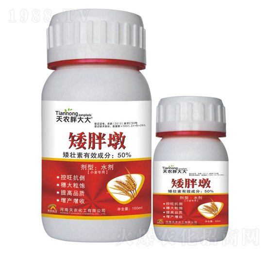 小麥專(zhuān)用-矮胖墩-天農(nóng)胖大大-天農(nóng)化工