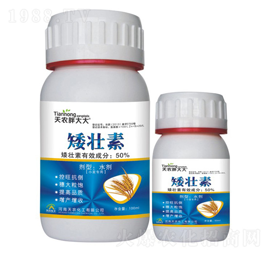 С�����ð�����-���r(n��ng)�ִ��-���r(n��ng)����