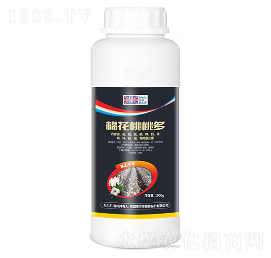 �޻����Ҷ�-Ӣ����