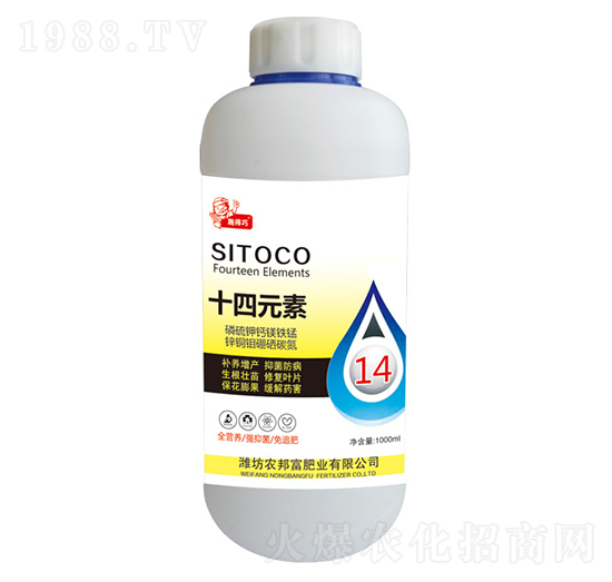 ʮ��Ԫ��-�r�