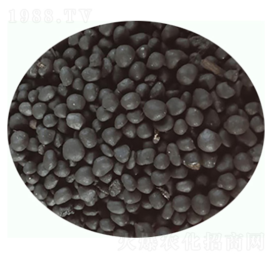 �ЙC���ϣ��w����-���|�ʘI(y��)