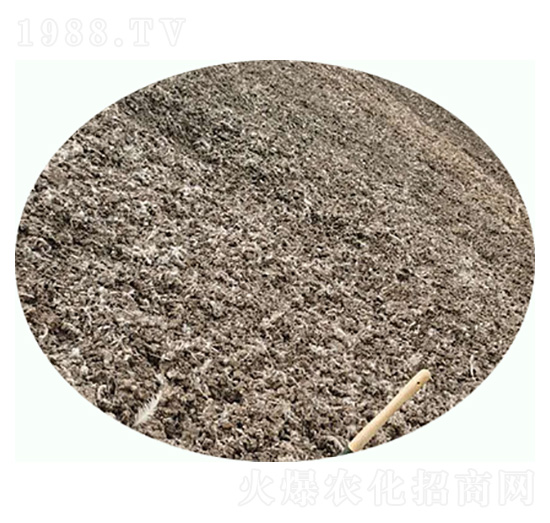 干雞糞-康東肥業(yè)