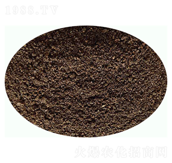 發(fā)酵羊糞有機肥-康東肥業(yè)