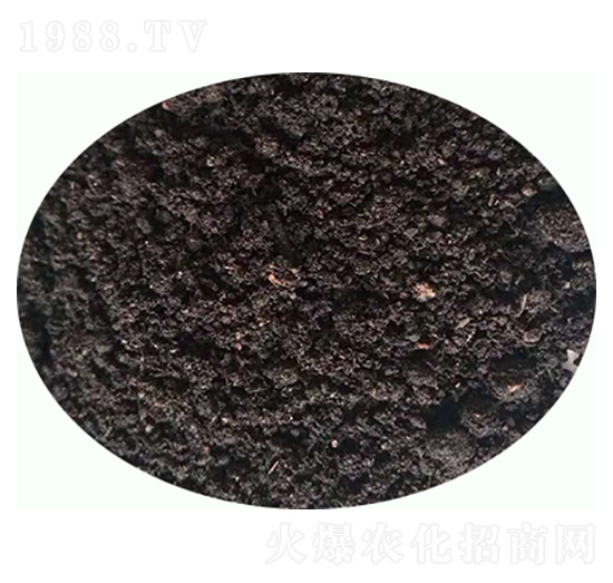 發(fā)酵羊糞有機(jī)肥料-康東肥業(yè)