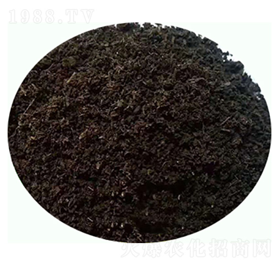 發(fā)酵純羊糞有機(jī)肥料-康東肥業(yè)