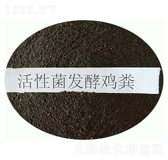 ���Ծ��l(f��)���u�S-���|�ʘI(y��)