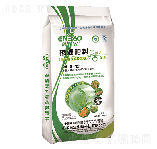 �������24-8-12-����