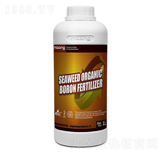 �������-�������