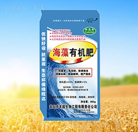 �����ЙC(j��)��-��˼��-�G���_(d��)