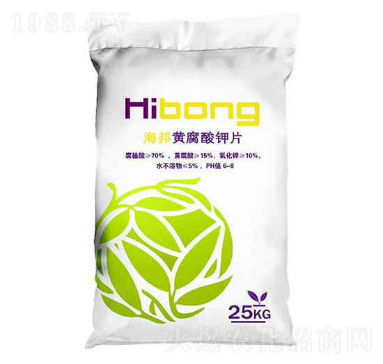 �S�����Ƭ-�������