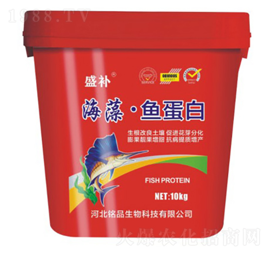 ���塤�~(y��)����-ʢ�a(b��)-�Ʒ����