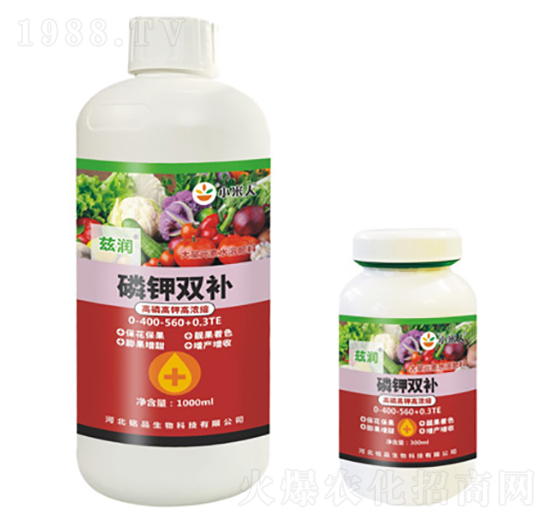 ����p�a(b��)-Ɲ��(r��n)-�Ʒ����