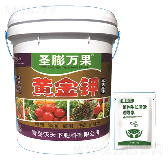 �S���-ʥ���f��-������