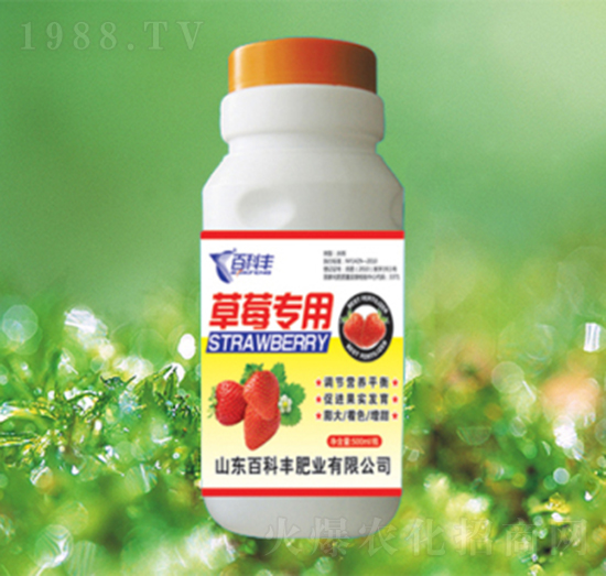 ��ݮ����-�ٿ��S