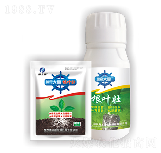 根葉狀-神奇大拿-通用化工