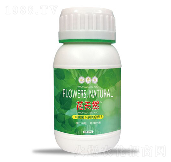 250g����Ȼ�~����-����Ȼ