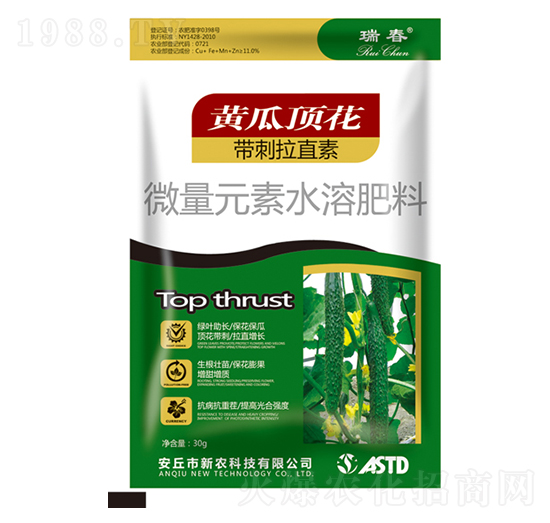 黃瓜頂花帶刺拉直素-瑞春-新農(nóng)