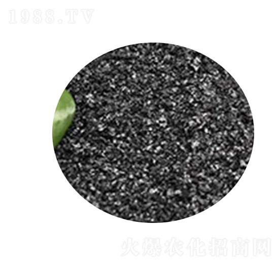 片狀腐植酸鈉-華源腐殖酸