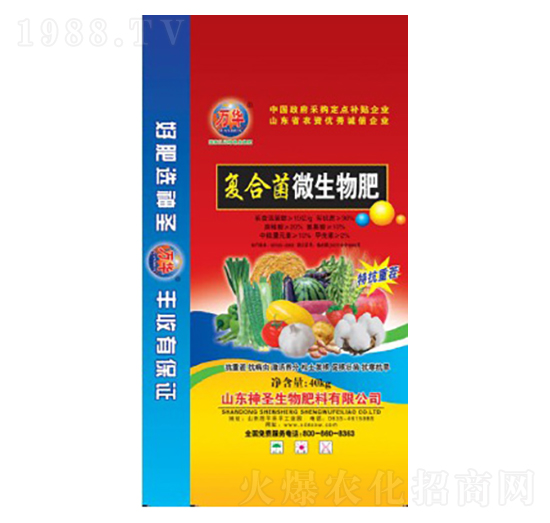 �ͺϾ�΢�����-��ʥ����