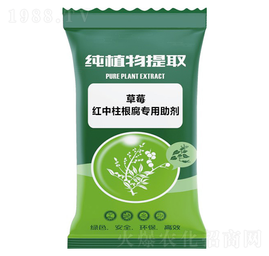 ��ݮ�t����������(zhu��n)������-ǧ���