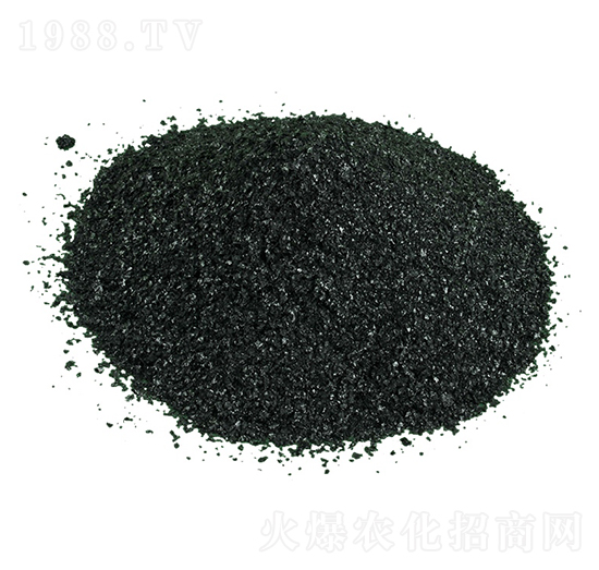 Ƭ�ֲ���c-�𺣵|