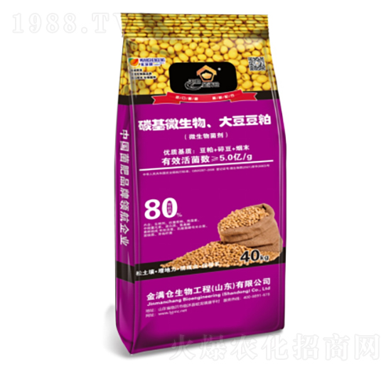 ̼��΢�������󶹶���-��M�}