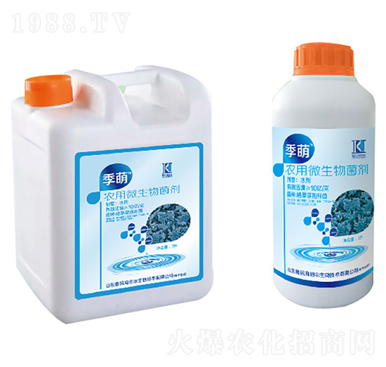 �r��΢�������-����-��������