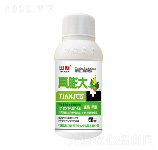 植物生長復配調理劑-真膨大-田俊肥業(yè)