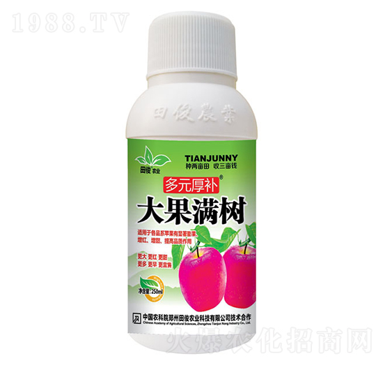 大果滿樹-多元厚補-田俊肥業(yè)
