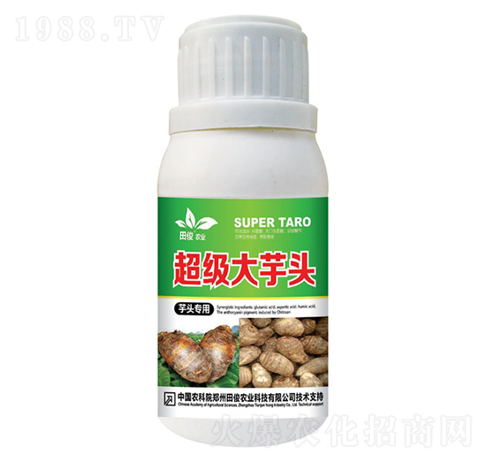 芋頭專用葉面肥-超級(jí)大芋頭-田俊肥業(yè)