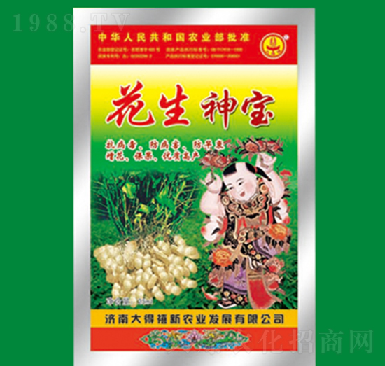 �����񌚣����b��-�����