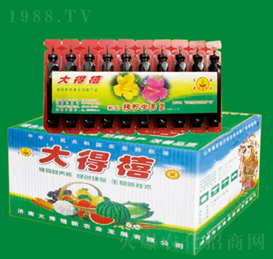 �ڷ������`-�����