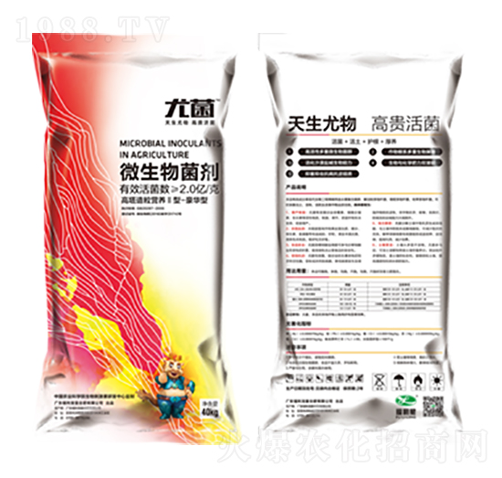 ΢�������-�Ⱦ�-������