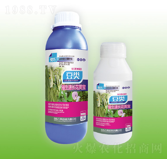 ��������L���v��-����-�f���_