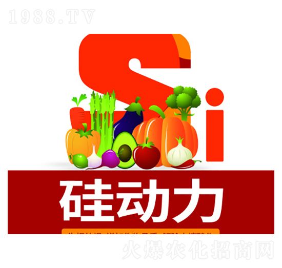 �����-�f���_(d��)