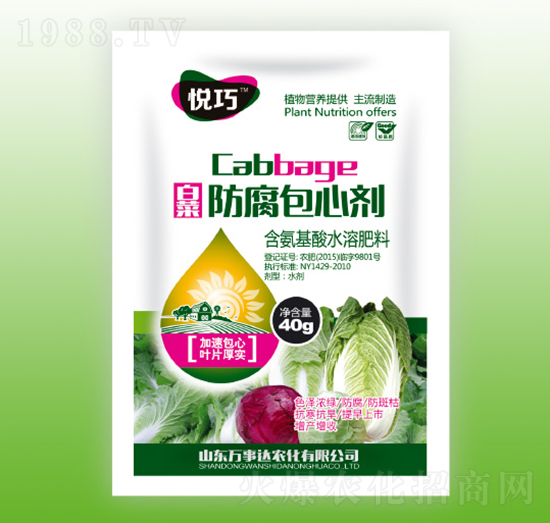 �ײ˷������Ą�-����-�f���_(d��)