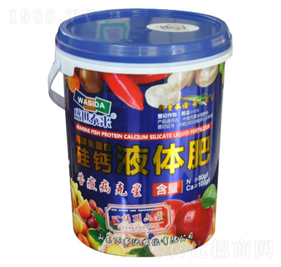 ���}Һ�w��-ʢ��̩��-�f���_