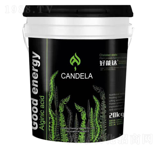 ���ך������ϑB(t��i)ֲ�ﵰ�נI�B(y��ng)��-�����_-�f���_