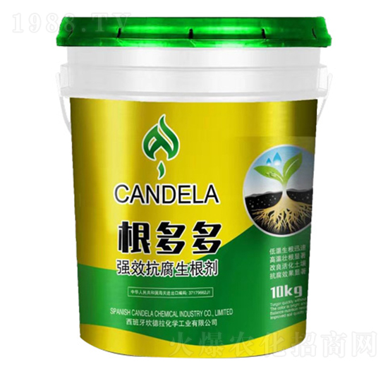 ����࿹��������-�f���_