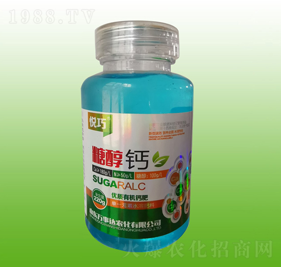 �Ǵ��}-����-�f���_