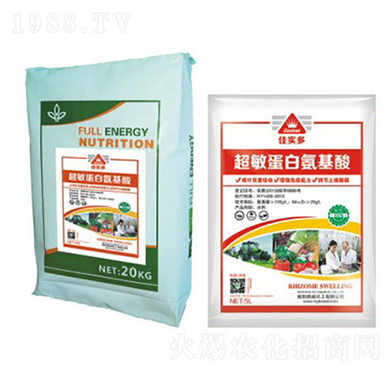 �ь��೬�����װ�����-����