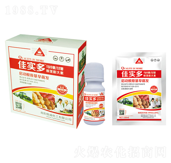 �R����������i�����-�ь���-����