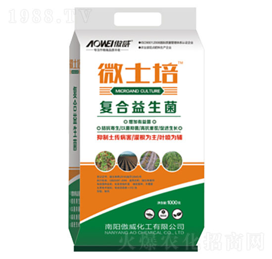 1000��΢ʿ�ࣨ��(f��)���������ͣ�-����