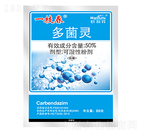 50%����`-һ֦��-����������