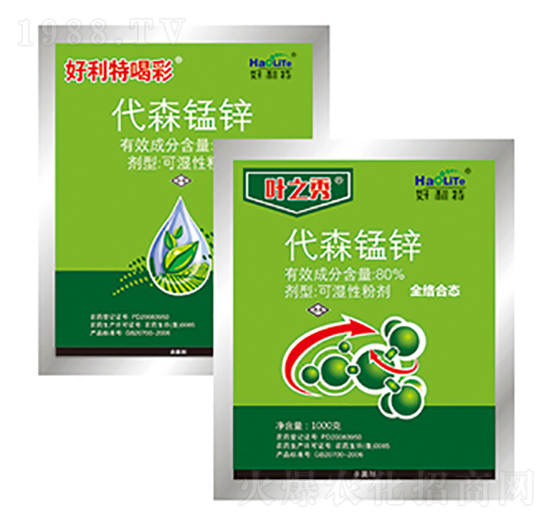 80%��ɭ�i�\-�~֮��-����������