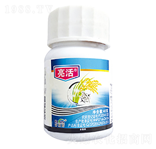 10%����-����-����������